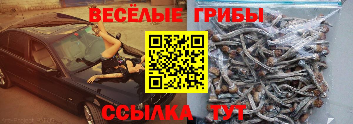 Галлюциногенные грибы Magic Shrooms Тайшет