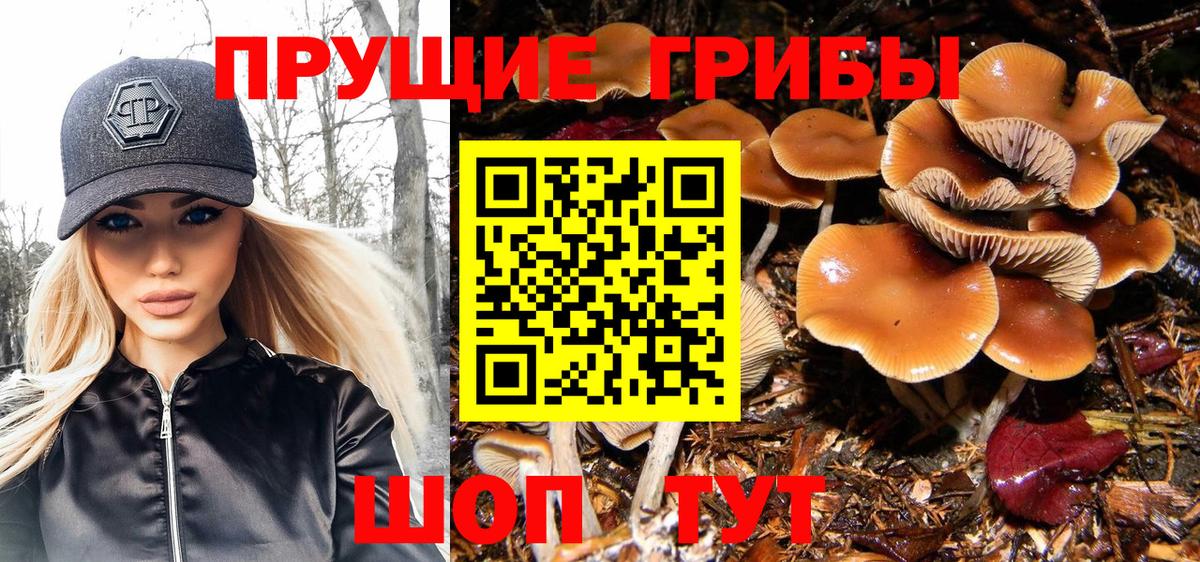 Тайшет  Галлюциногенные грибы ЛСД  Вход с VPN 
